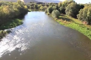 accidente paramotor vuelo rasante