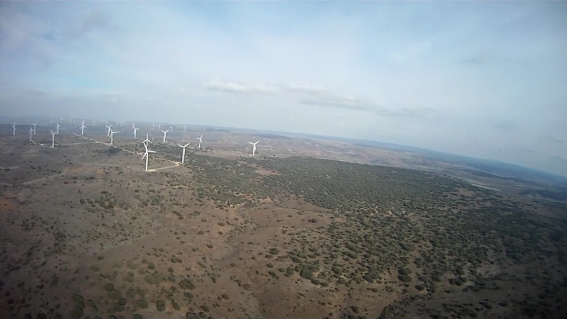 viento-en-cola-flearflear-6