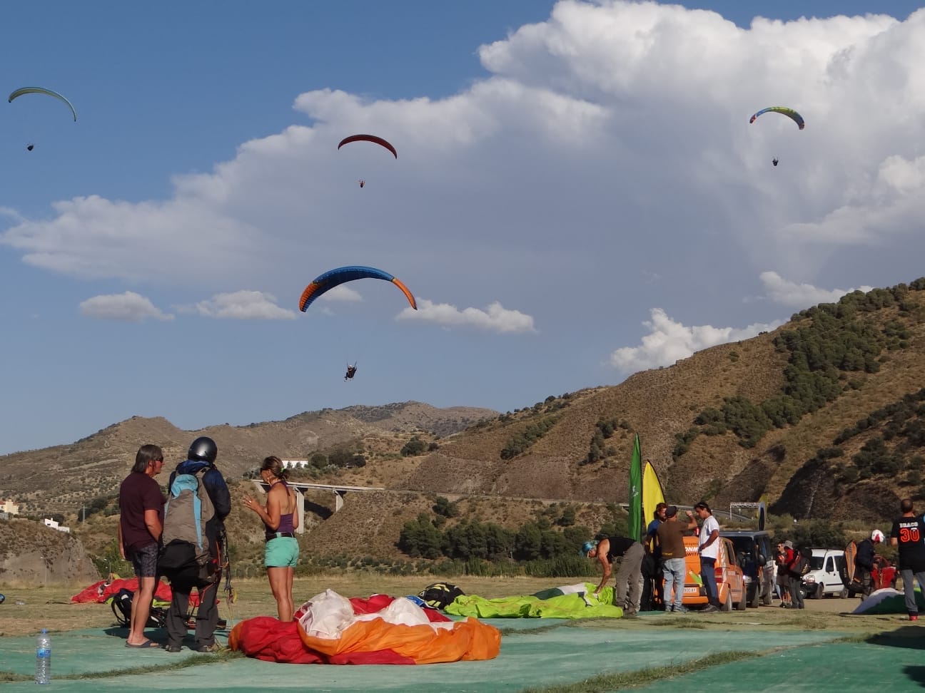 Fiesta del 30 aniversario de Draconexión