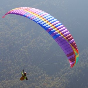 Wasp parapente.